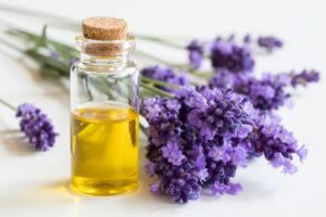 Lavender essential oil next to lavender flowers